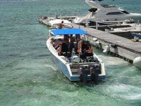 Scuba diving boat in Belize – Best Places In The World To Retire – International Living